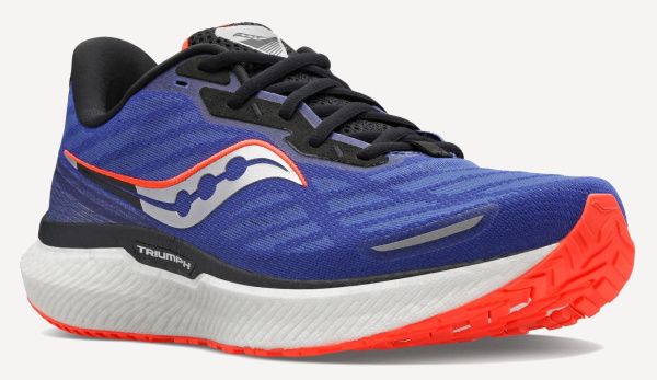 Кроссовки TRIUMPH 19 M (RU 45.5 UK 11 USm 12 СМ 30; sapphire/vizi red)